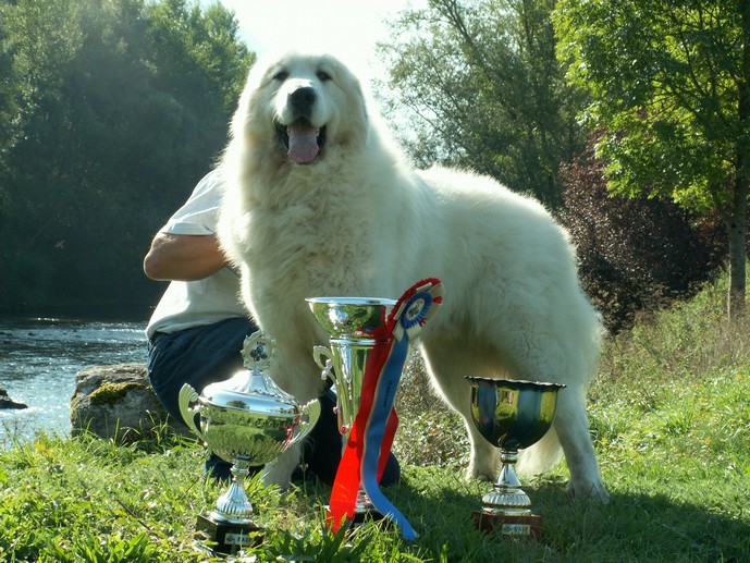 CH. Aspin Du val du lavedan