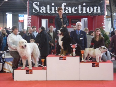 de la vallée de la livenne - MEILLEUR CHIEN DE MONTAGNE DES PYRENEES 2008