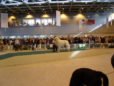 de la vallée de la livenne - salon de l'AGRICULTURE 2008