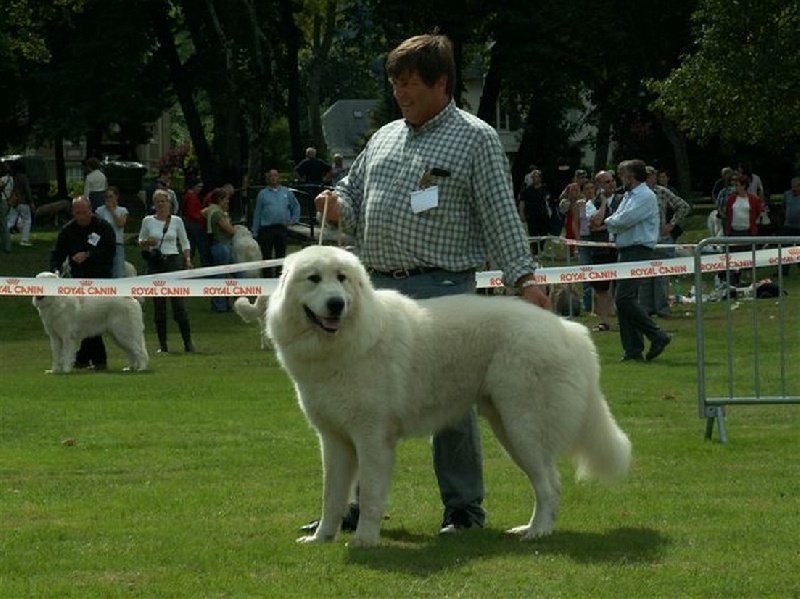 CH. Aspin Du val du lavedan